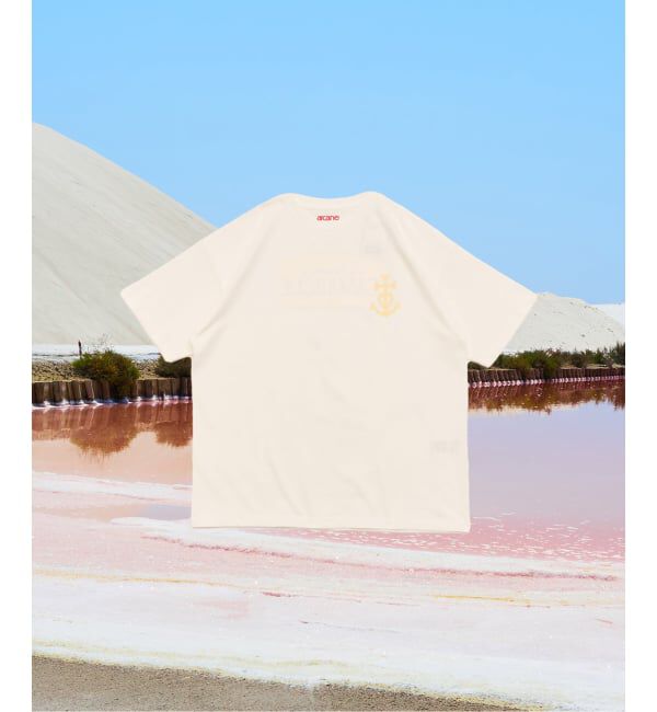 モテ系ファッションメンズ|【エディフィス/EDIFICE】 【ARCANE×417】 CAMARGUE Tee
