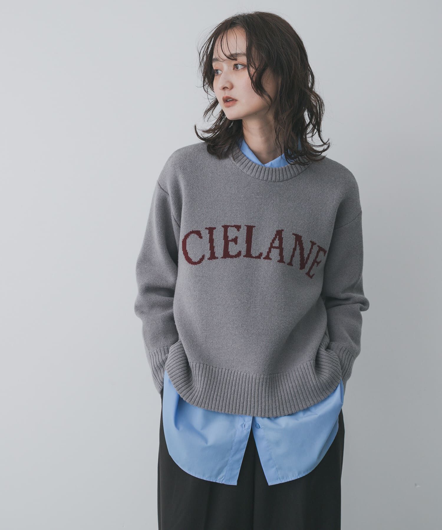 【センスオブプレイス　バイ　アーバンリサーチ/SENSE OF PLACE by URBAN RESEARCH】 『洗濯可』ジャガードロゴニット