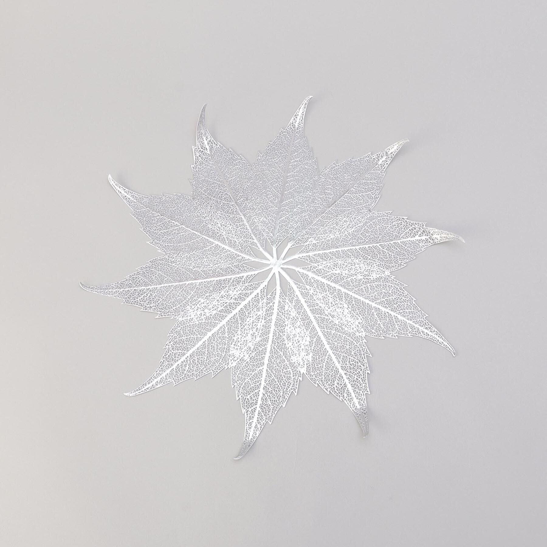 【トゥーワントゥーキッチンストア/212 KITCHEN STORE】 リーフランチョンマット SV