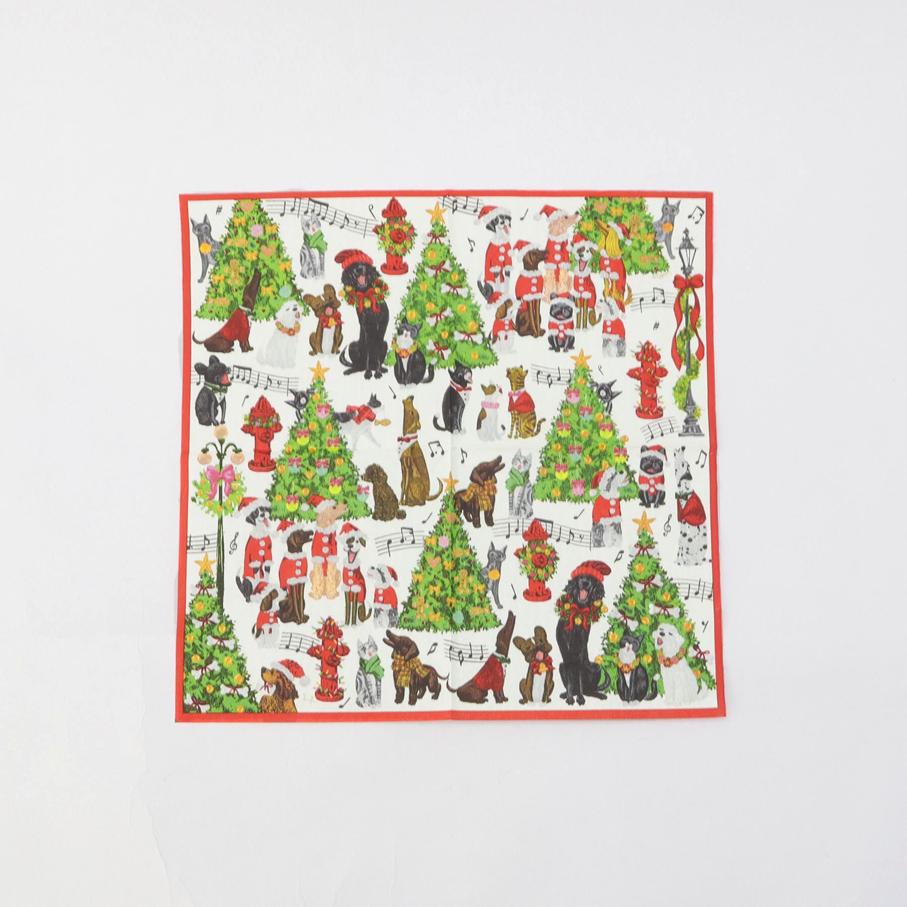 【トゥーワントゥーキッチンストア/212 KITCHEN STORE】 カスパリ ペーパータオル キャロラインペット