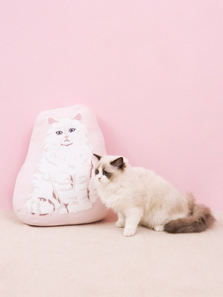 【Sleep】エアリーモコキャットダイカットクッション