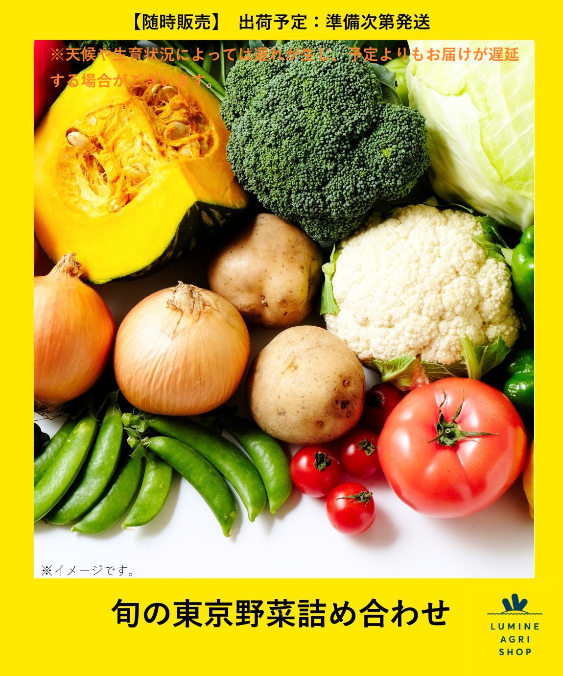 【ルミネアグリショップ/LUMINE AGRI SHOP】 旬の東京野菜詰め合わせ