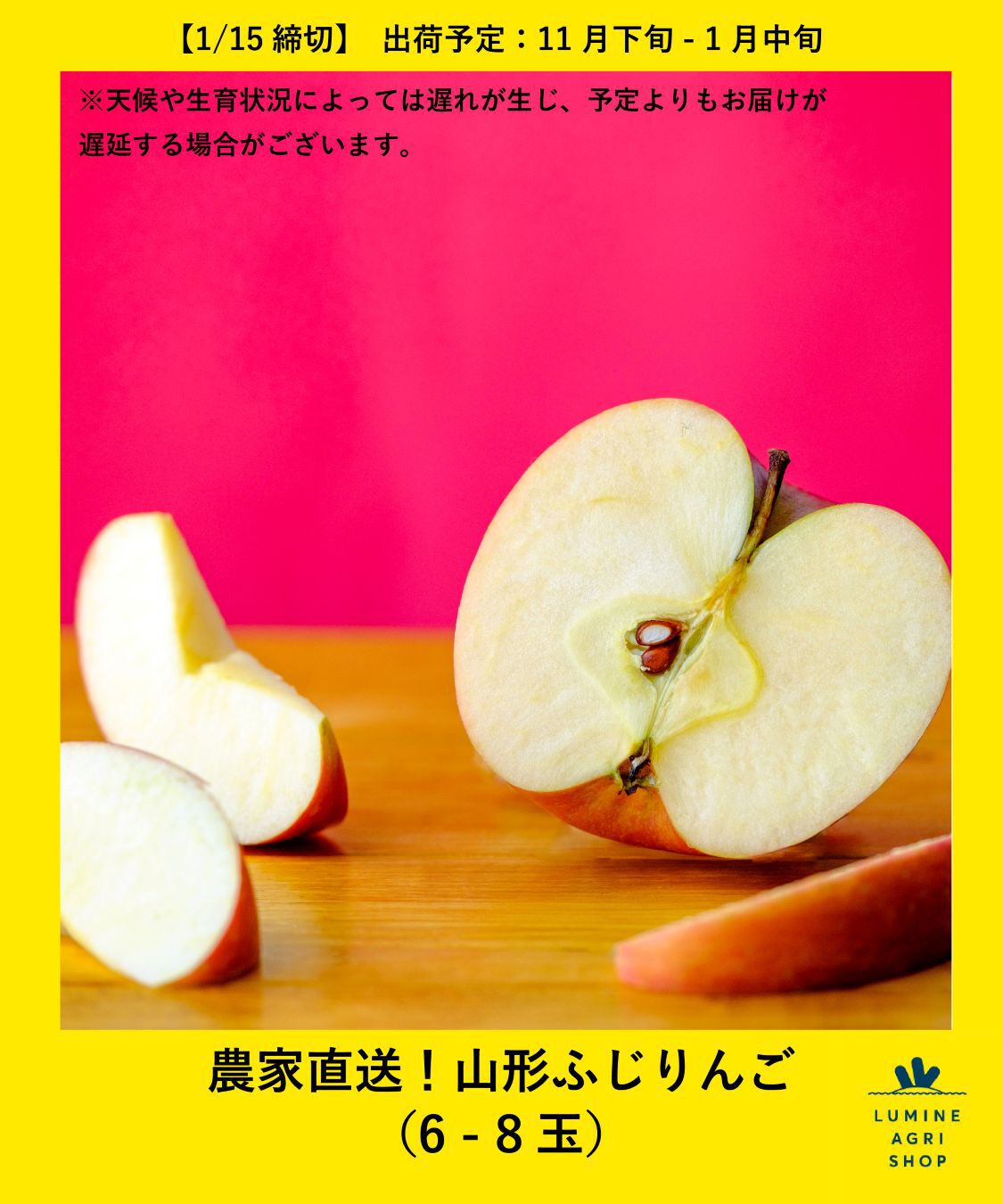 【ルミネアグリショップ/LUMINE AGRI SHOP】 農家直送！山形ふじりんご(6-8玉)