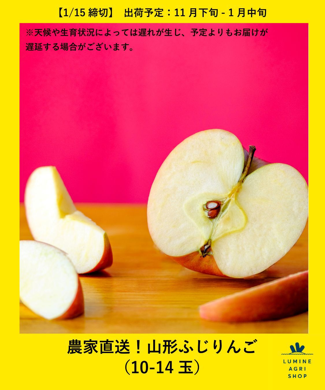 【ルミネアグリショップ/LUMINE AGRI SHOP】 農家直送！山形ふじりんご（10-14玉）
