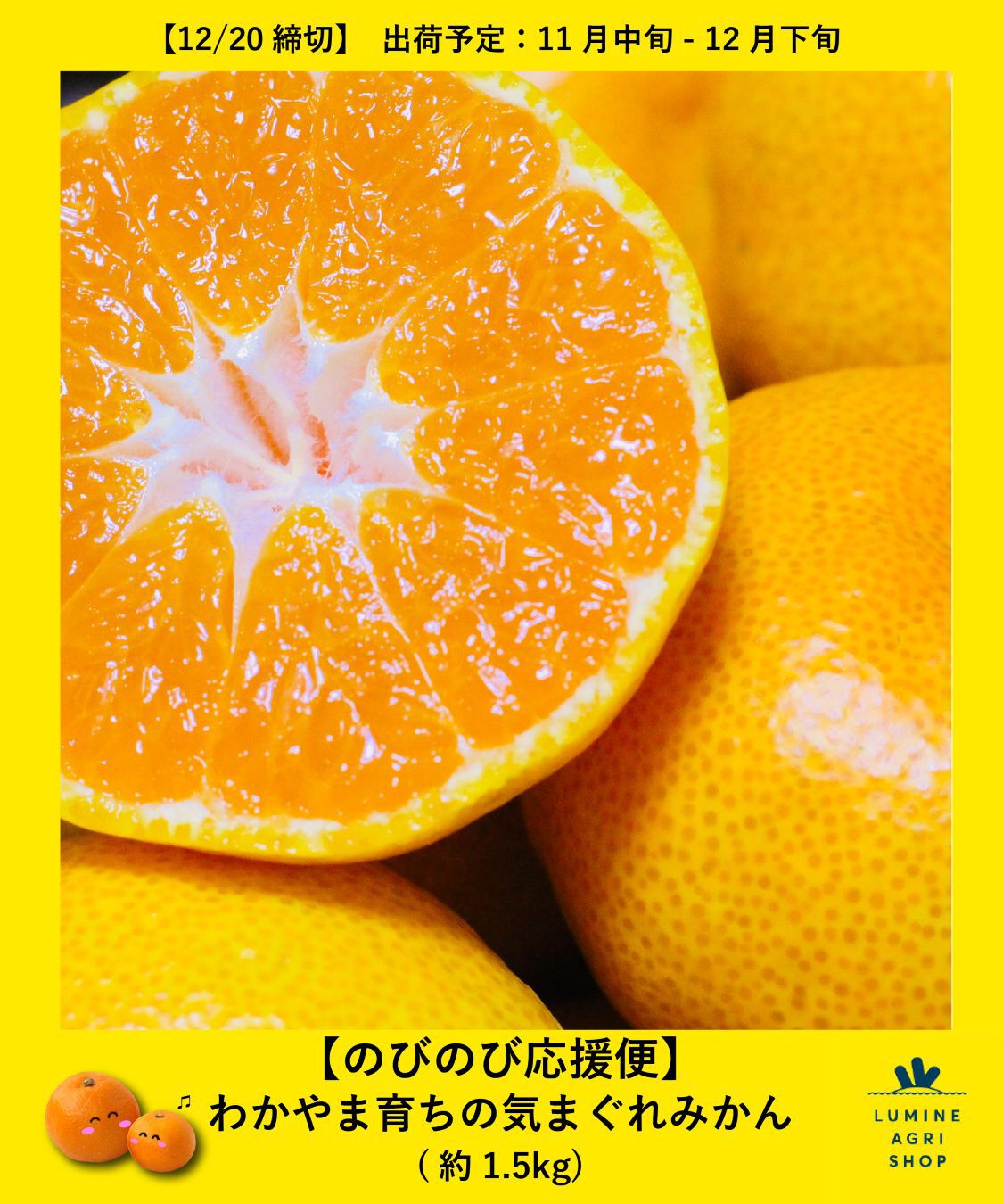 ߥͤ㤨֡ڥߥͥꥷå/LUMINE AGRI SHOP ڤΤӤΤӱءۤ狼ްεޤߤפβǤʤ1,782ߤˤʤޤ