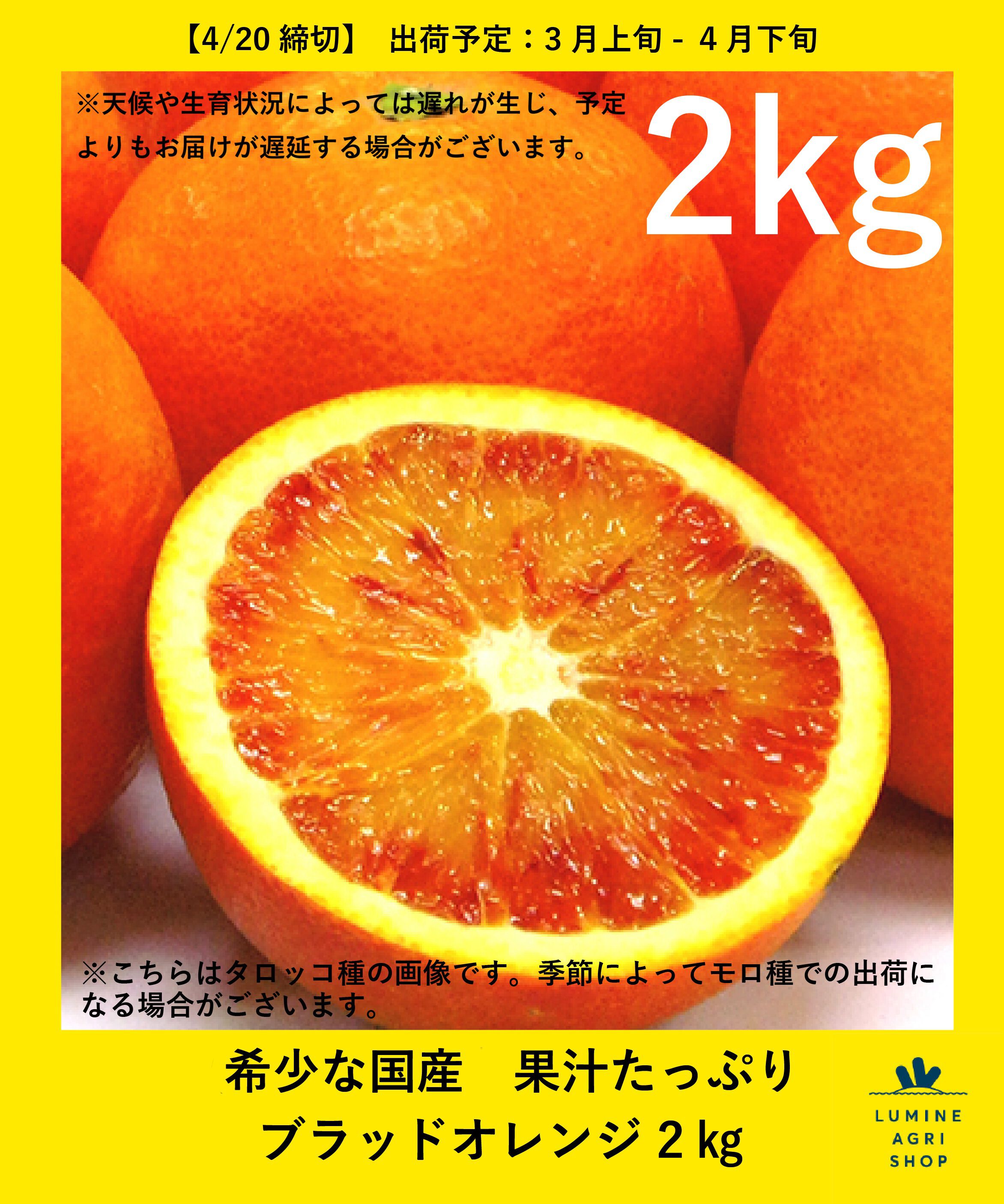 【ルミネアグリショップ/LUMINE AGRI SHOP】 希少な国産 果汁たっぷり ブラッドオレンジ 2�