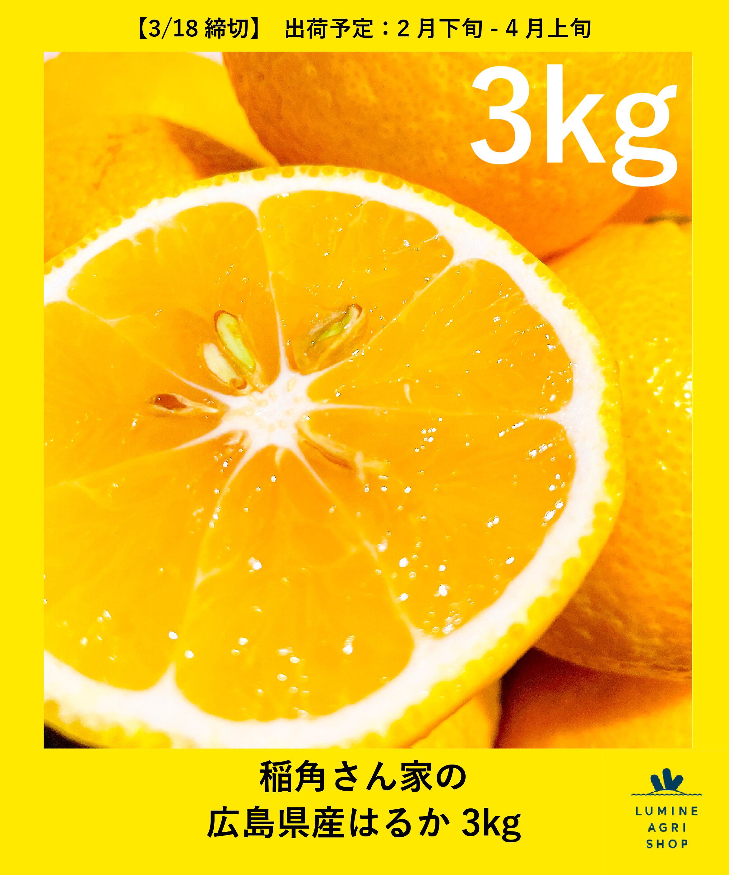 稲角さん家の広島県産はるか 3kg（LUMINE AGRI SHOP）｜ルミネの