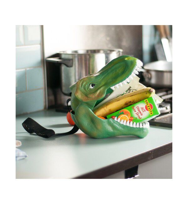 BEAMS「SUCK UK / Dinosaur Case」|その他|