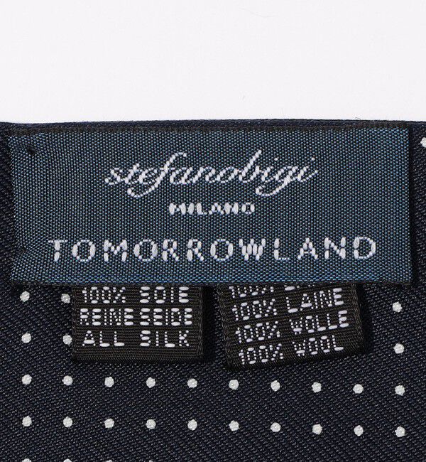 TOMORROWLAND GOODS「STEFANO BIGI シルク リバーシブルストール」|ストール|