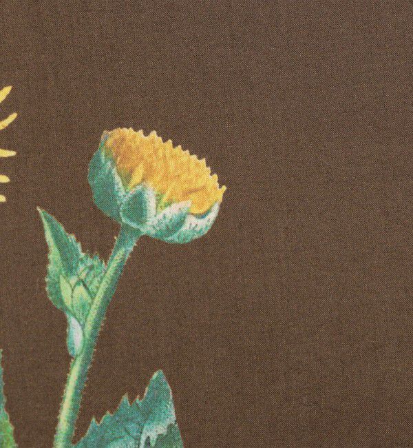 CABaN「CABaN コットン Green Showerプリント 2タックワイドパンツ」|チノ|