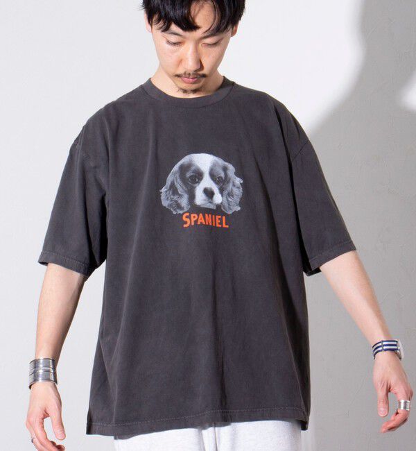 GLOSTER「【新柄追加】【GLOSTER/グロスター】DOG&CAT 犬猫プリント ピグメント プリントTシャツ」|Tシャツ・カットソー|