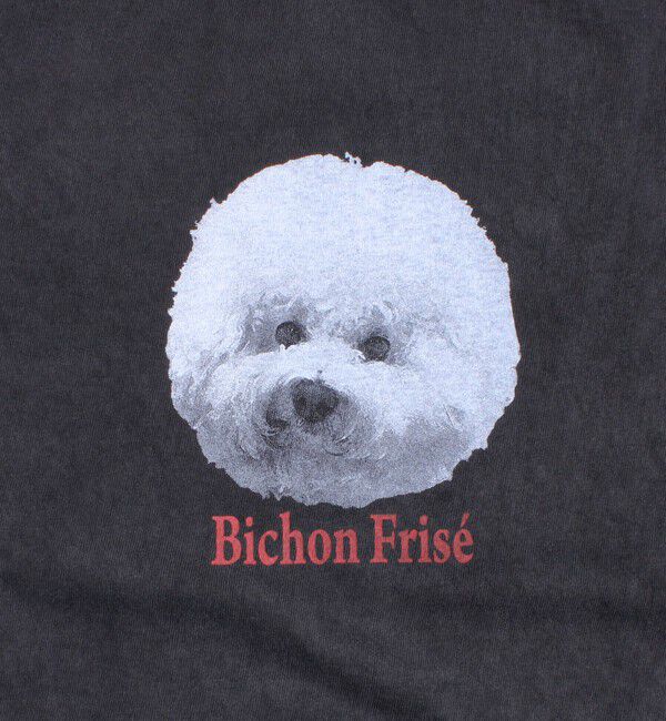 GLOSTER「【新柄追加】【GLOSTER/グロスター】DOG&CAT 犬猫プリント ピグメント プリントTシャツ」|Tシャツ・カットソー|