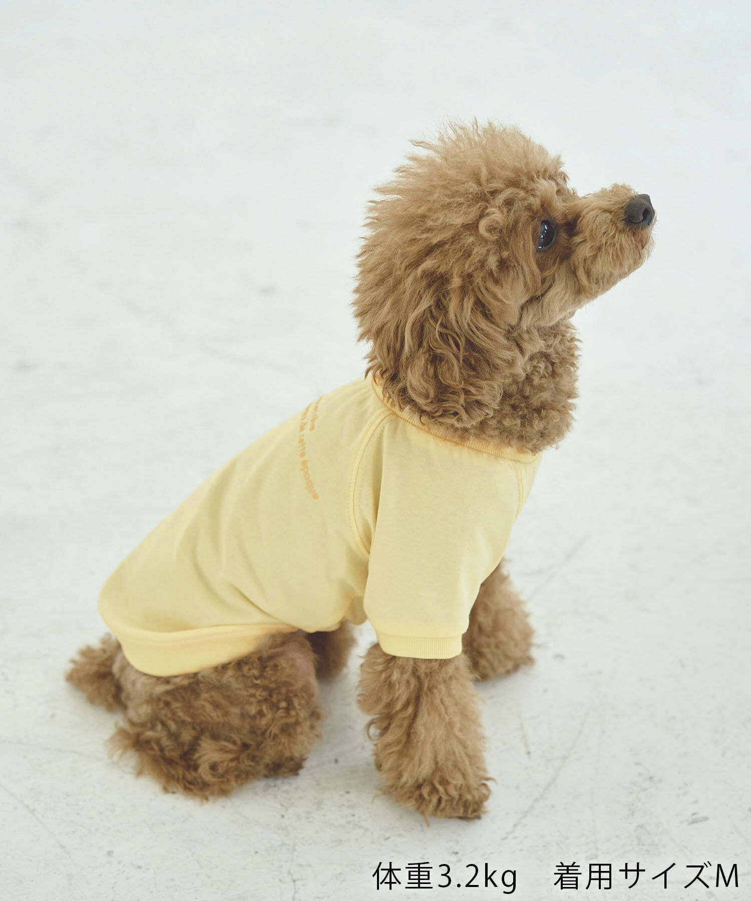 ROPE PICNIC PASSAGE「【DOG】RENU/PHOTO＆LOGOTシャツ/リンクコーデ」|その他|