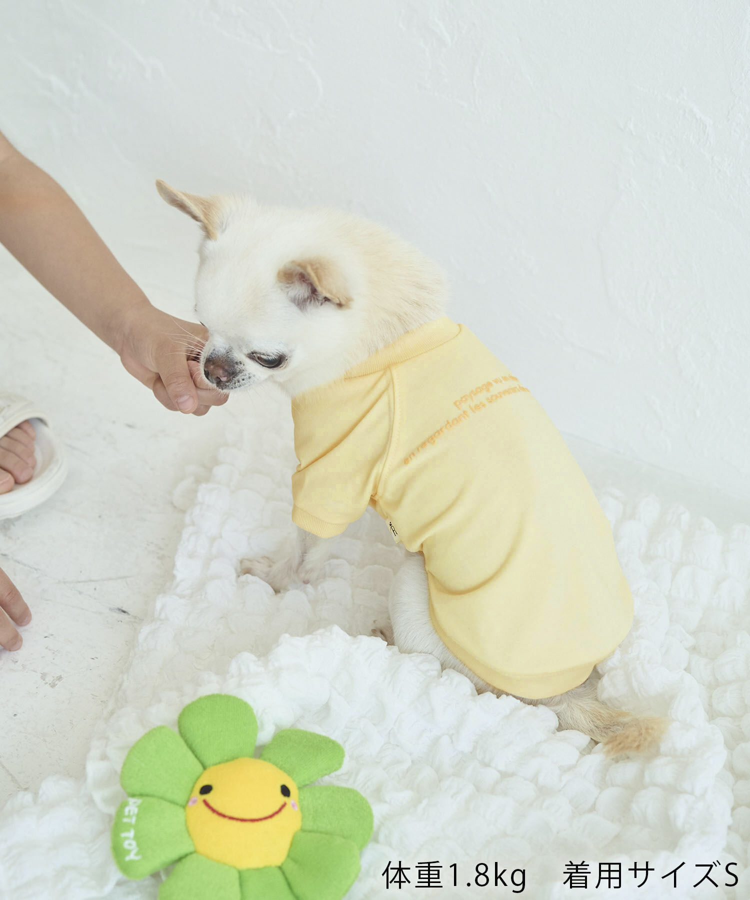 ROPE PICNIC PASSAGE「【DOG】RENU/PHOTO＆LOGOTシャツ/リンクコーデ」|その他|