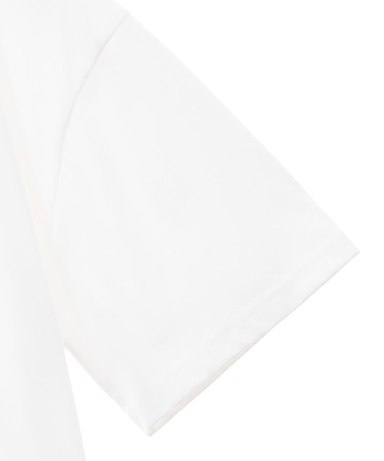 Green Parks「ムジークタイガー/さがら刺繍ゆるTシャツ」|Tシャツ・カットソー|