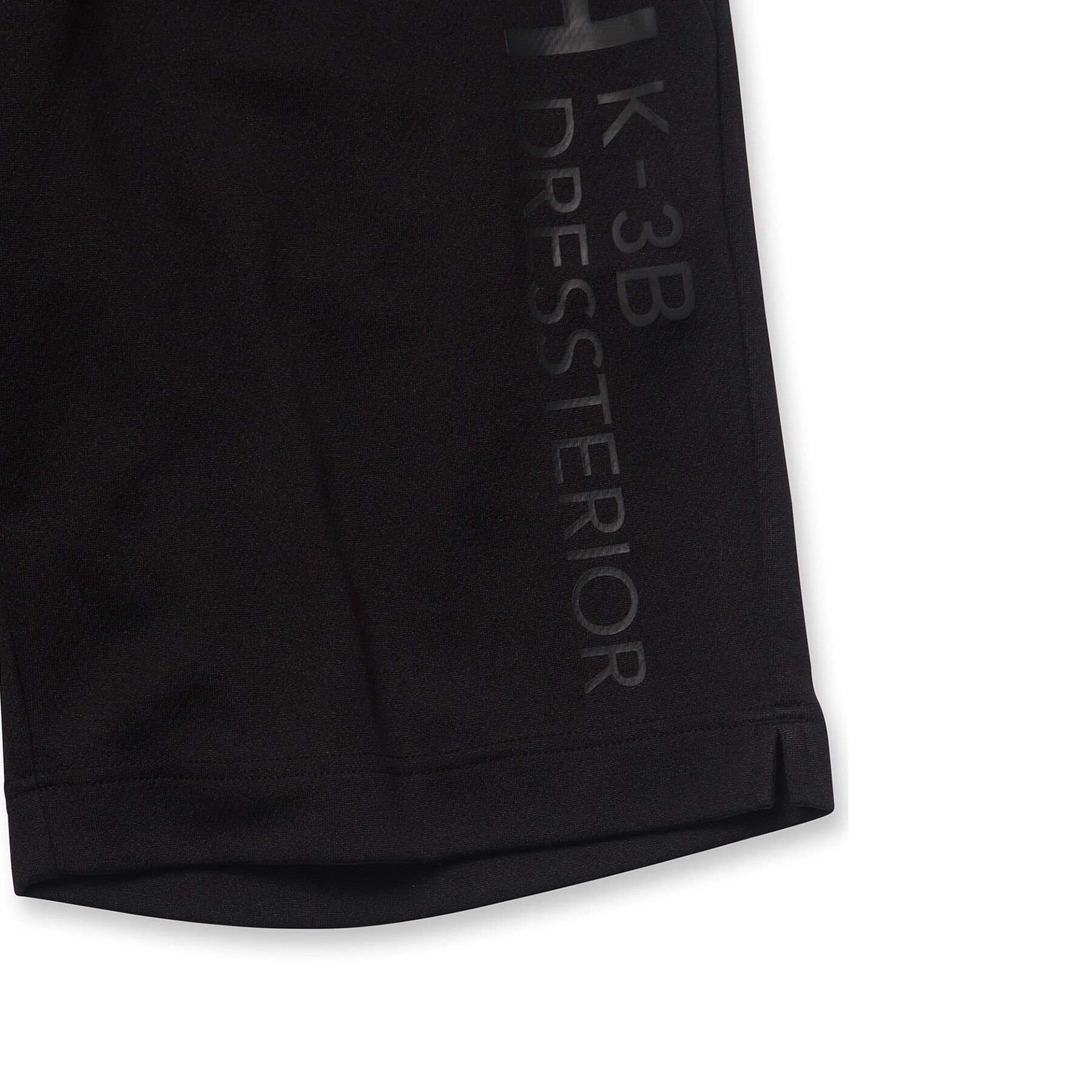 DRESSTERIOR「【干場義雅&times;K－3B&times;DRESSTERIOR】トリプルコラボ ショートパンツ」|その他|