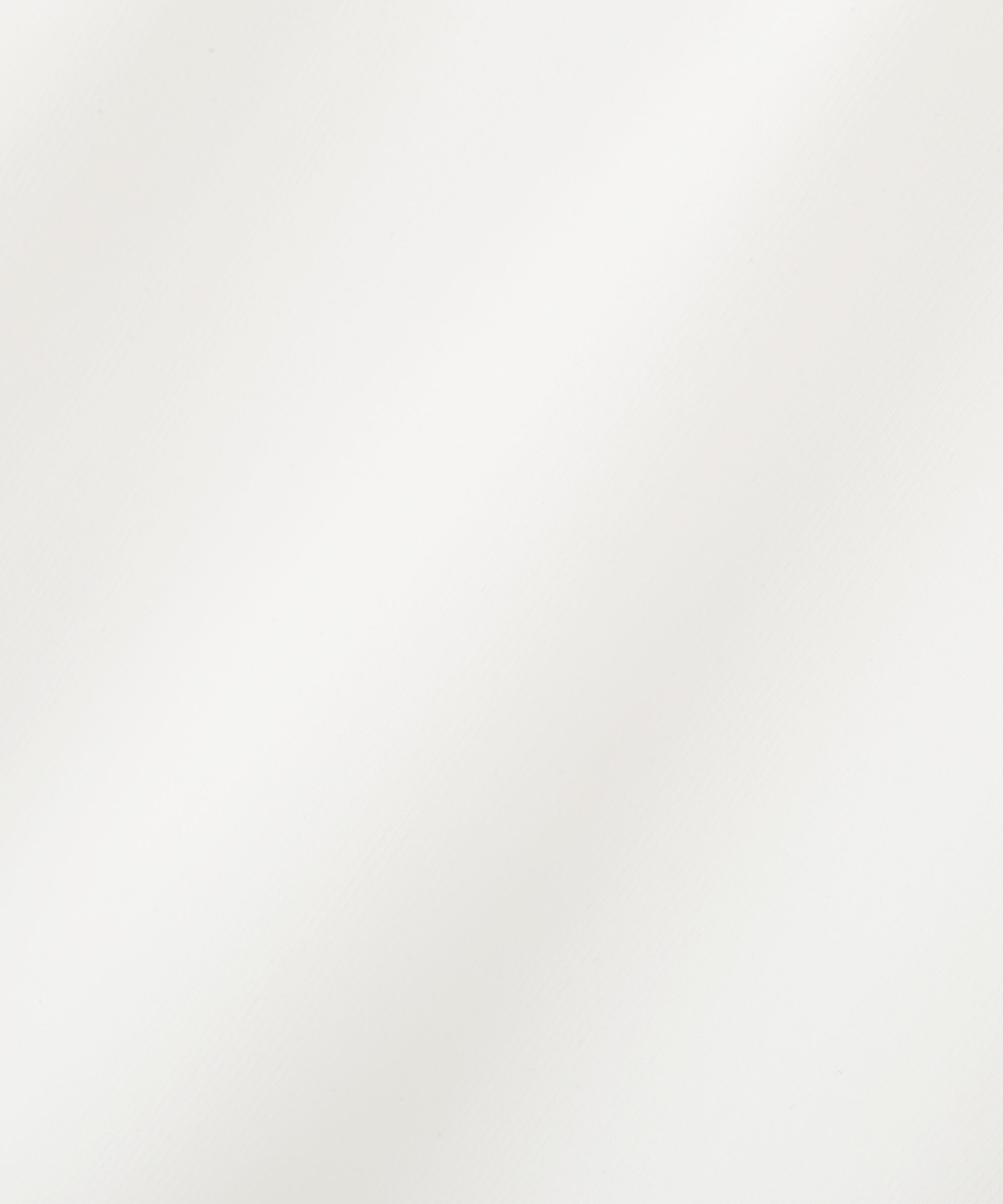 PROPORTION BODY DRESSING「ビット付シアーカットソー」|Tシャツ・カットソー|