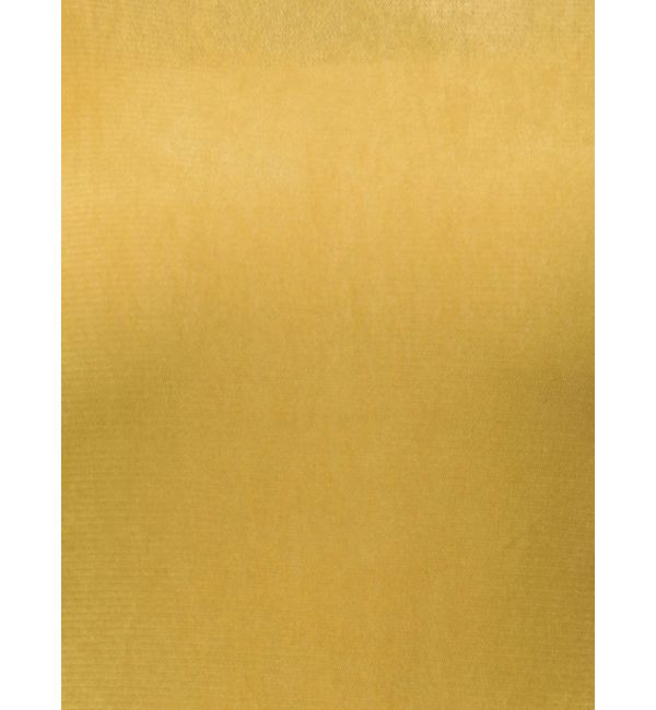 LAGUNAMOON「シアーフロッキーフレアスリーププルオーバー」|Tシャツ・カットソー|