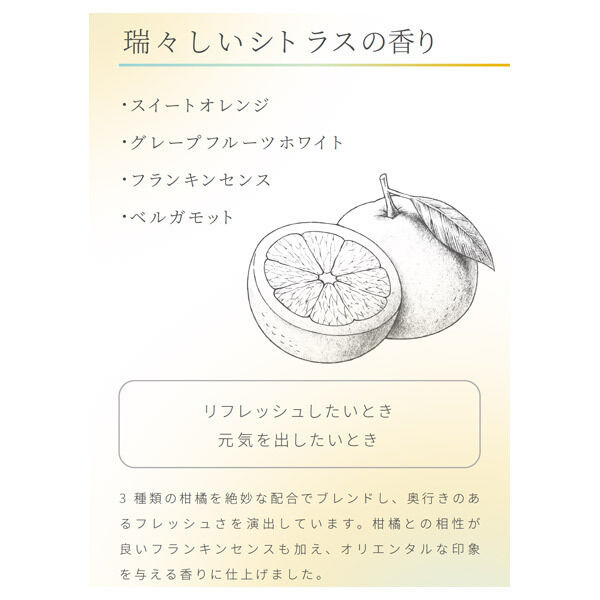  「アロマゴコチ アロマゴコチ シトラス 本体 (18枚)」|その他|