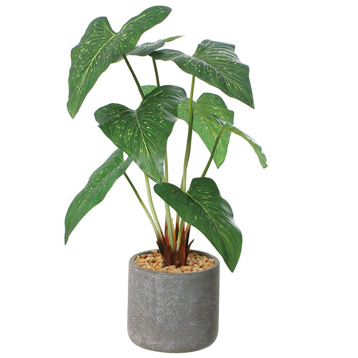 BACKYARD FAMILY「観葉植物 フェイク 大型 通販 フェイクグリーン アーティフィシャルグリーン インテリアグリーン」|その他|