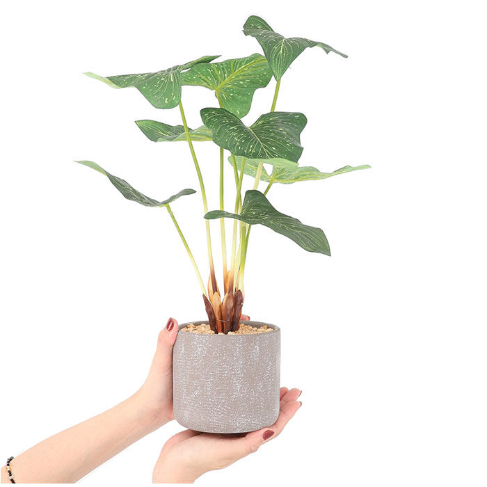 BACKYARD FAMILY「観葉植物 フェイク 大型 通販 フェイクグリーン アーティフィシャルグリーン インテリアグリーン」|その他|