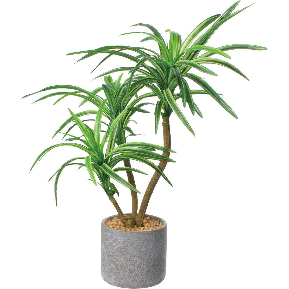 BACKYARD FAMILY「観葉植物 フェイク 大型 通販 フェイクグリーン アーティフィシャルグリーン インテリアグリーン」|その他|その他3