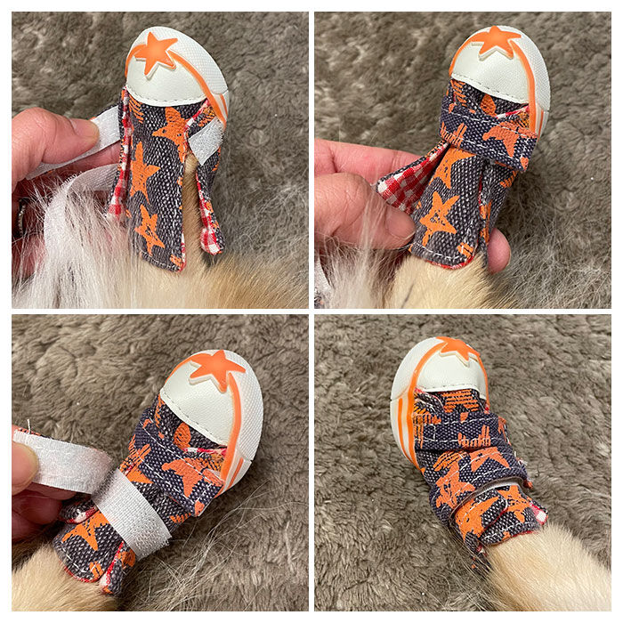 BACKYARD FAMILY「犬 くつ 通販 靴 ドッグ いぬ シューズ スニーカー 小型犬 中型犬 汚れ防止 足裏 肉球保護」|その他|