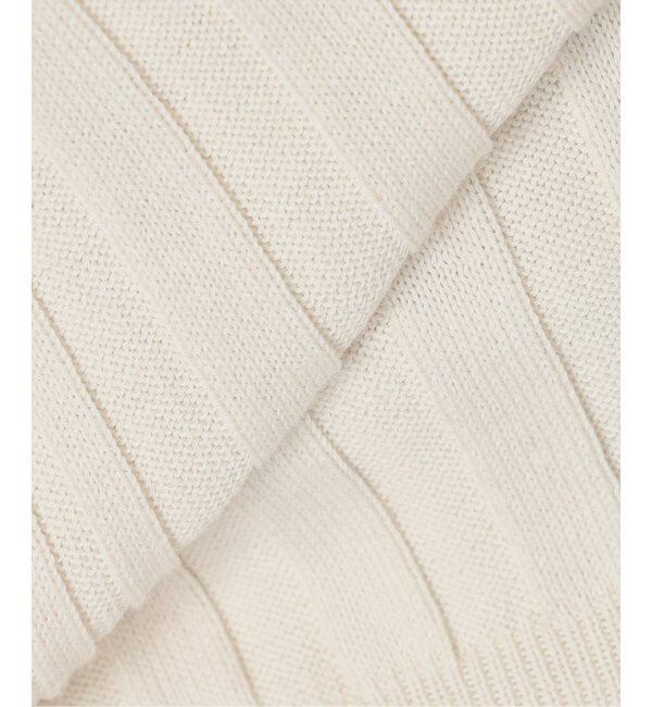 VERMEIL par iena「イタリア糸 RIB Vネックプルオーバー」|ニット・セーター|