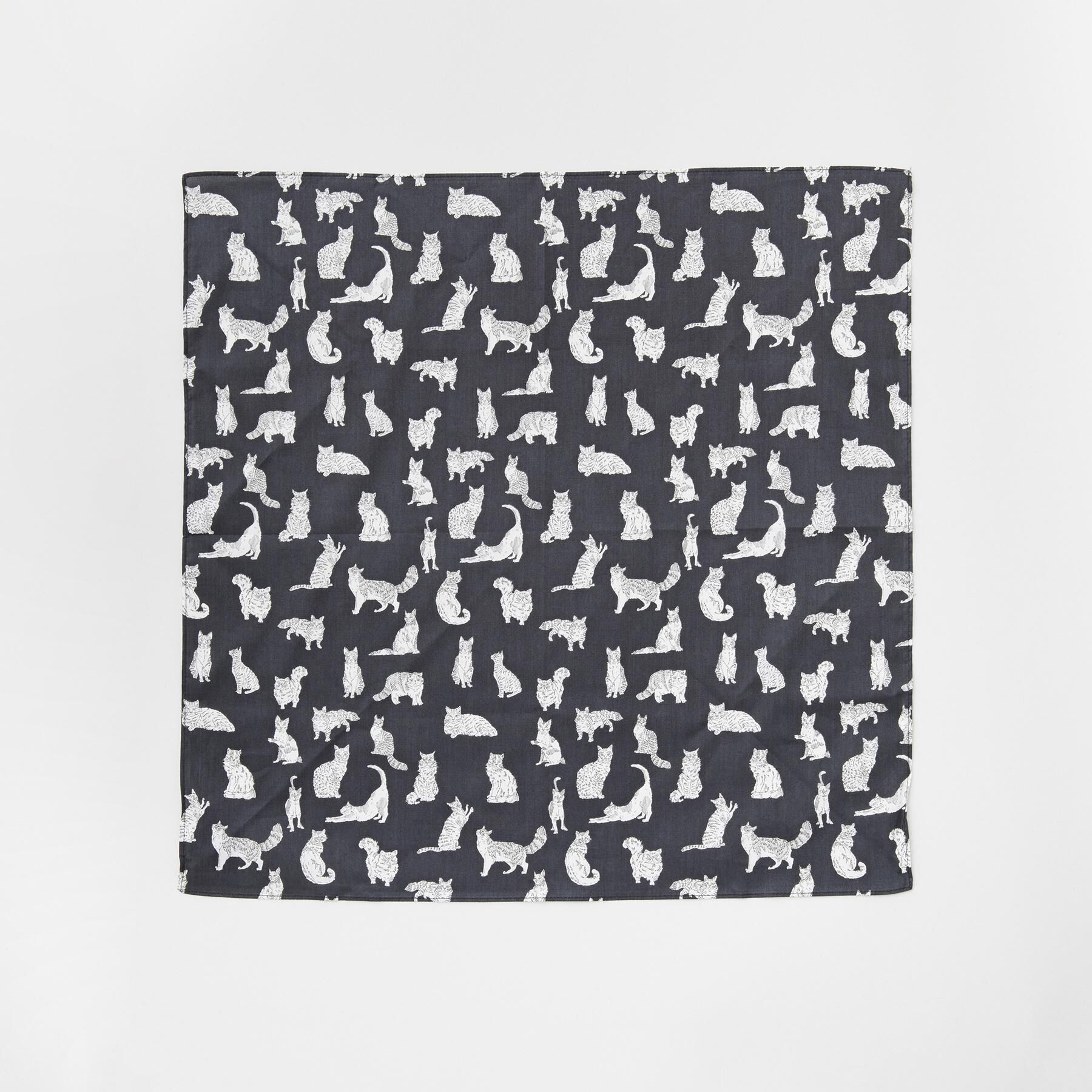 TAKEO KIKUCHI「【BOXセット】ベーシックネクタイ＆リバティハンカチ 特製ギフトセット」|ネクタイ・蝶ネクタイ|