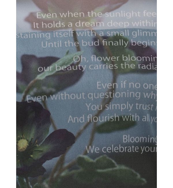 MURUA「フォトプリントシアートップス」|Tシャツ・カットソー|