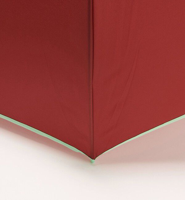 ODETTE E ODILE「＜multidot＞large model」|傘|