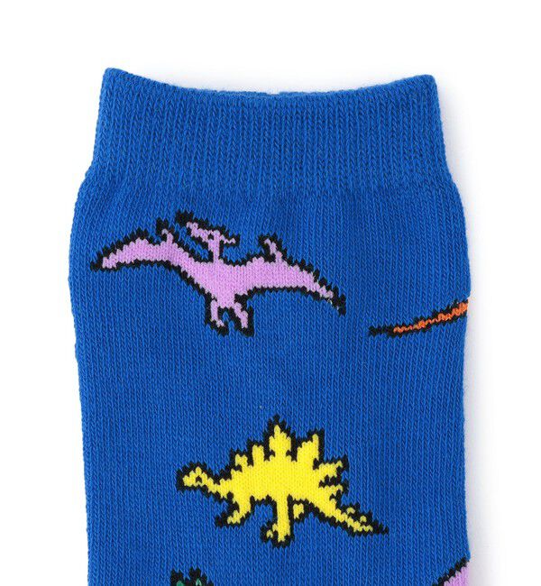 SHIPS KIDS「SHIPS KIDS:ダイナソー ソックス」|ソックス|