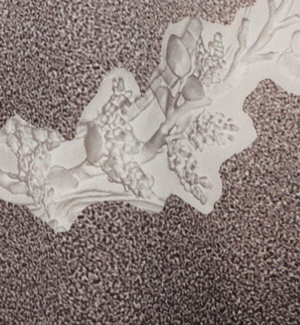 DES PRES「バロックデコプリント ドローストリングパンツ」|その他|