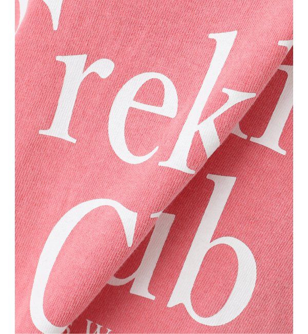 journal standard L'essage「【MAINE】ピグメントTシャツ」|Tシャツ・カットソー|