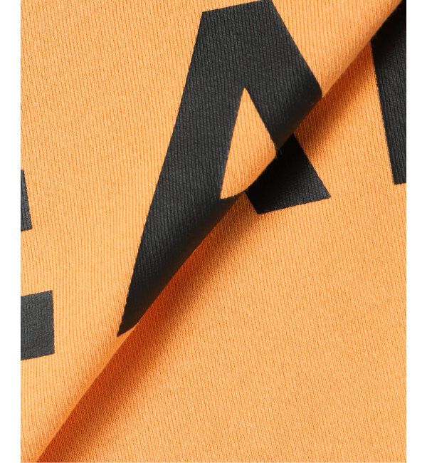 JOURNAL STANDARD relume「SNOW PEAK / スノーピーク 別注 &rdquo;PEAK SNOW&rdquo; ロゴTシャツ」|Tシャツ・カットソー|