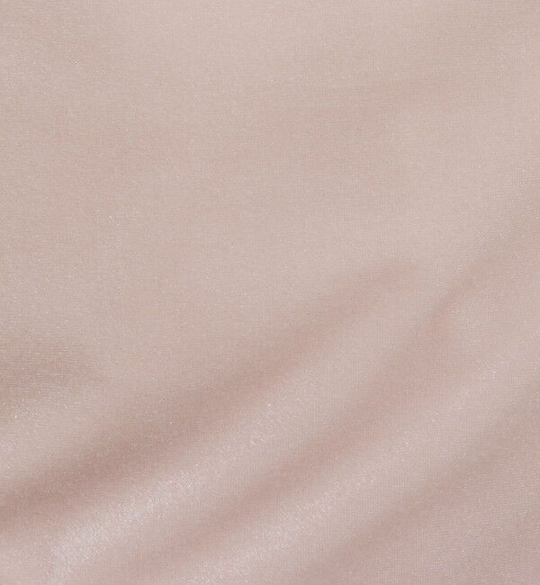 NOLLEY'S「シアーベロアTシャツ」|Tシャツ・カットソー|