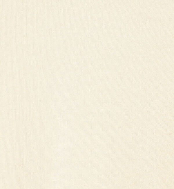 NOLLEY'S「MY STANDARD シアーロンT」|Tシャツ・カットソー|