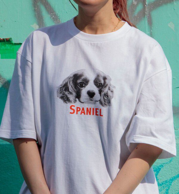 GLOSTER「【新柄追加】【GLOSTER/グロスター】DOG&CAT 犬猫プリントTシャツ」|Tシャツ・カットソー|