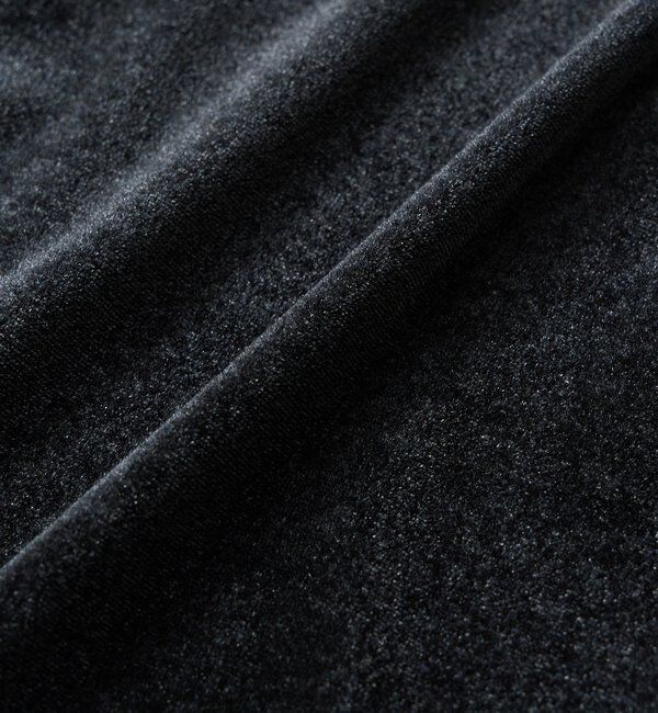  「【こなれ感抜群】シアーベロア5分袖Tee」|Tシャツ・カットソー|