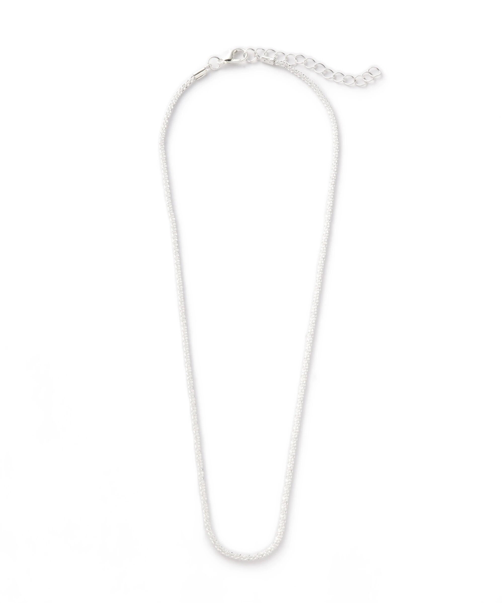 PROPORTION BODY DRESSING「チェーンネックレス」|その他|シルバー