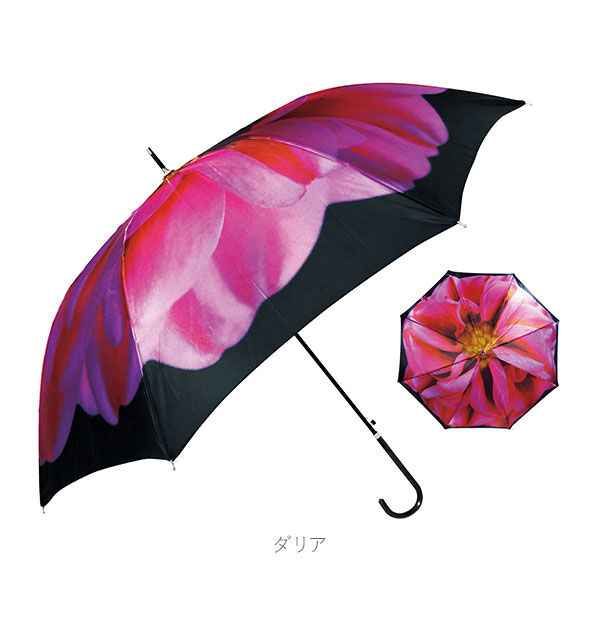 BACKYARD FAMILY「傘 レディース ジャンプ傘 通販 長傘 ワンタッチ おしゃれ 雨傘 ジャンプ ワンタッチ傘」|傘|