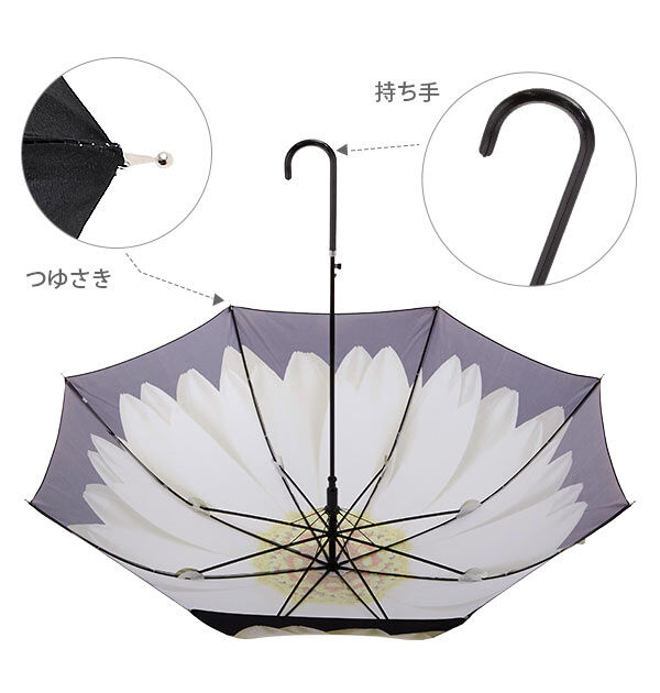 BACKYARD FAMILY「傘 レディース ジャンプ傘 通販 長傘 ワンタッチ おしゃれ 雨傘 ジャンプ ワンタッチ傘」|傘|