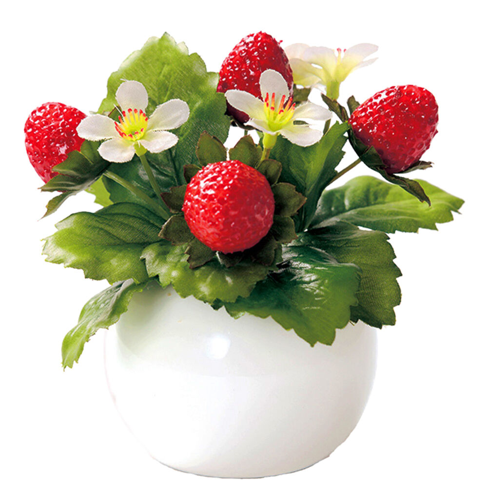 BACKYARD FAMILY「光触媒 観葉植物 通販 フェイクグリーン ミニ インテリアグリーン リアル 小さめ おしゃれ」|その他|レッド1