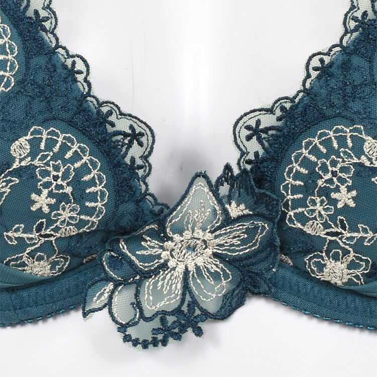 intesucre「アンテシュクレ ブラセット くっきり谷間メイク B-E/65-75 IBT325」|インナー|