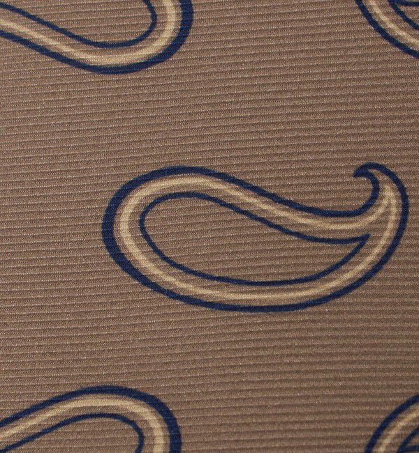 UNITED ARROWS「＜ERRICO FORMICOLA＞ビッグ ペイズリー プリント ネクタイ」|ネクタイ・蝶ネクタイ|