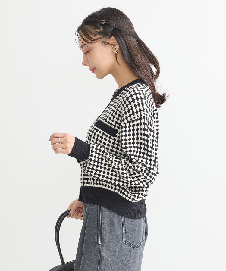 earth music&ecology「ジャガードニットプルオーバー」|ニット・セーター|