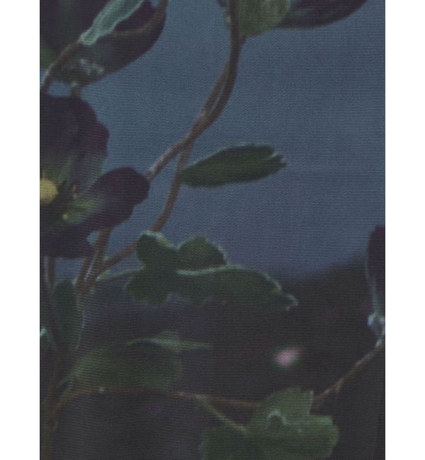 MURUA「プリントシアーナロースカート」|スカート|