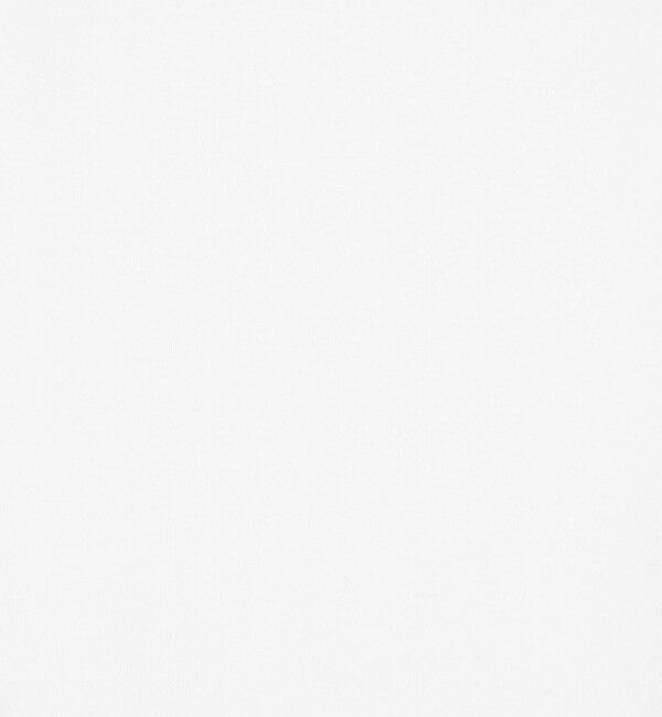 GALERIE VIE「ファインコットン ワイドクルーネックプルオーバー」|Tシャツ・カットソー|