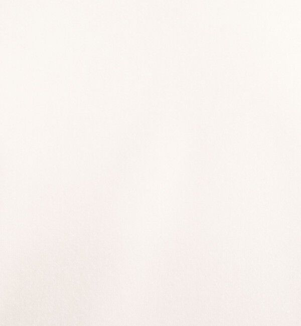 NOLLEY'S「シアーベロアロンT」|Tシャツ・カットソー|