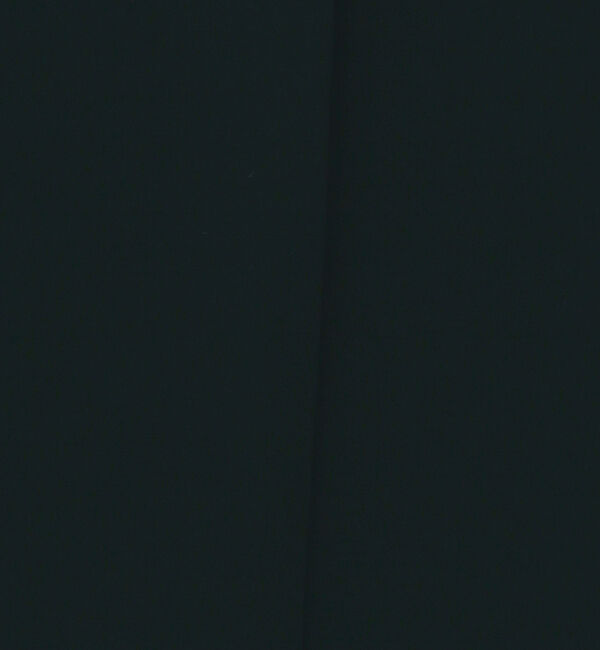 The Store by C' 「【COCUCA】ダブルサテンマキシスカート」|スカート|